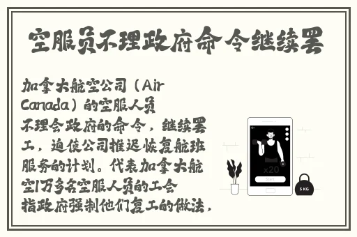 今日看料每日一抓